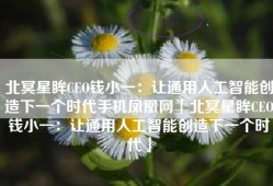 北冥星眸CEO钱小一：让通用人工智能创造下一个时代手机凤凰网「北冥星眸CEO钱小一：让通用人工智能创造下一个时代」