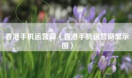香港手机运营商（香港手机运营商显示图）