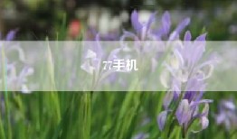 77手机