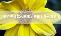 手机死机怎么回事（手机为什么死机）