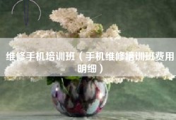 维修手机培训班（手机维修培训班费用明细）