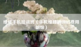 维修手机培训班（手机维修培训班费用明细）