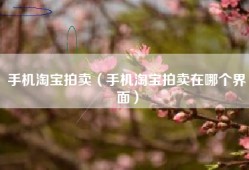 手机淘宝拍卖（手机淘宝拍卖在哪个界面）