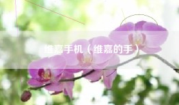 维嘉手机（维嘉的手）
