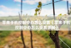 苹果手机控制中心怎么设置（苹果手机控制中心怎么设置录屏）