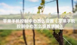 苹果手机控制中心怎么设置（苹果手机控制中心怎么设置录屏）