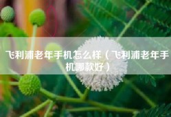 飞利浦老年手机怎么样（飞利浦老年手机哪款好）