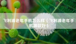 飞利浦老年手机怎么样（飞利浦老年手机哪款好）