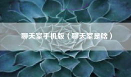 聊天室手机版（聊天室是啥）