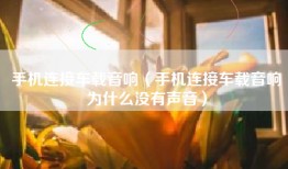 手机连接车载音响（手机连接车载音响为什么没有声音）