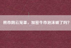 熊市阴云笼罩，加密牛市泡沫破了吗？