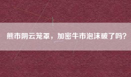 熊市阴云笼罩，加密牛市泡沫破了吗？