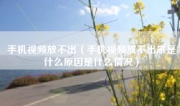 手机视频放不出（手机视频放不出来是什么原因是什么情况）