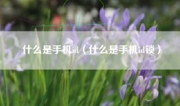 什么是手机id（什么是手机id锁）