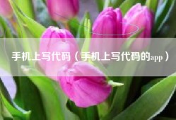 手机上写代码（手机上写代码的app）