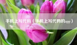 手机上写代码（手机上写代码的app）