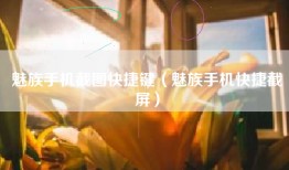 魅族手机截图快捷键（魅族手机快捷截屏）
