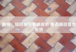 潮州：项目招引突破成势 重点项目落地见效