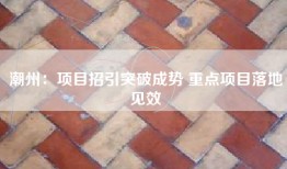 潮州：项目招引突破成势 重点项目落地见效
