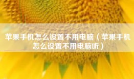 苹果手机怎么设置不用电脑（苹果手机怎么设置不用电脑听）