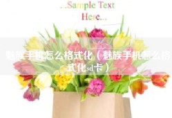 魅族手机怎么格式化（魅族手机怎么格式化sd卡）