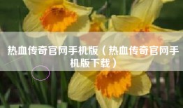 热血传奇官网手机版（热血传奇官网手机版下载）