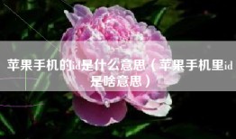 苹果手机的id是什么意思（苹果手机里id是啥意思）