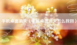 手机桌面消失（手机桌面消失怎么找回）