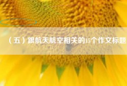 （五）跟航天航空相关的15个作文标题