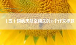 （五）跟航天航空相关的15个作文标题