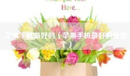 苹果手机最好的（苹果手机最好的是哪个）