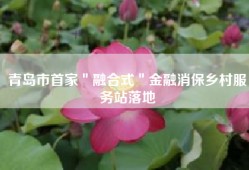 青岛市首家＂融合式＂金融消保乡村服务站落地