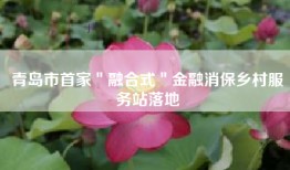 青岛市首家＂融合式＂金融消保乡村服务站落地