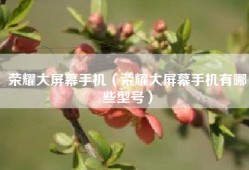 荣耀大屏幕手机（荣耀大屏幕手机有哪些型号）