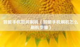 智能手机如何刷机（智能手机刷机怎么刷机步骤）