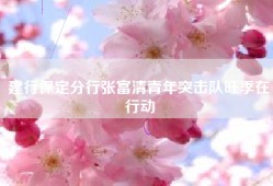 建行保定分行张富清青年突击队旺季在行动