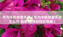 华为手机屏幕失灵（华为手机屏幕失灵怎么办 简单4招帮你轻松恢复）