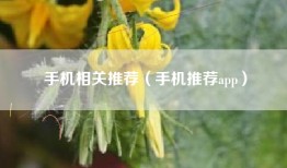 手机相关推荐（手机推荐app）