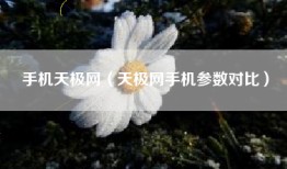 手机天极网（天极网手机参数对比）