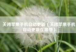 关闭苹果手机自动更新（关闭苹果手机自动更新在哪里）