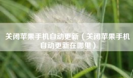 关闭苹果手机自动更新（关闭苹果手机自动更新在哪里）