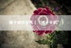锤子情怀手机（“锤子手机”）