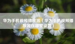 华为手机视频播放器（华为手机视频播放器在哪里设置）