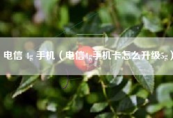 电信 4g 手机（电信4g手机卡怎么升级5g）