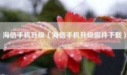 海信手机升级（海信手机升级固件下载）