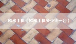 欧米手机（欧米手机多少钱一台）