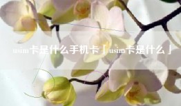 usim卡是什么手机卡「usim卡是什么」