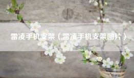 雷凌手机支架（雷凌手机支架图片）
