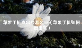 苹果手机查串号怎么查（苹果手机如何查串号）