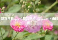 新款手机oppo（新款手机opporeno12上市时间）